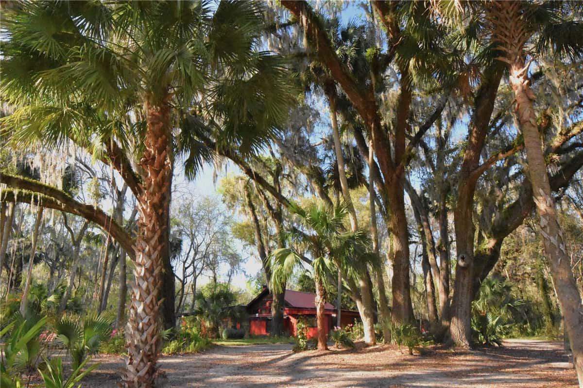 1302 WACAHOOTA ROAD