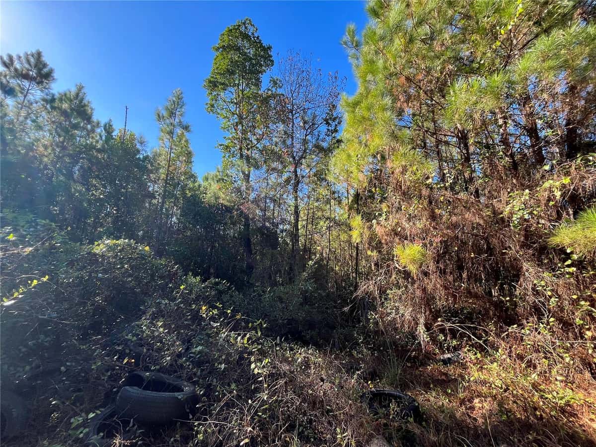 223 MOURNING DOVE ROAD