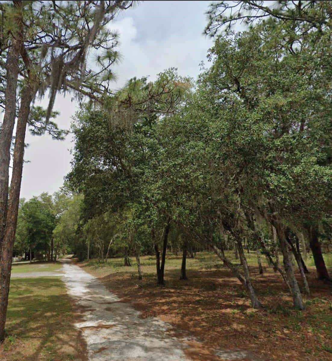1163 CANVAS LANE