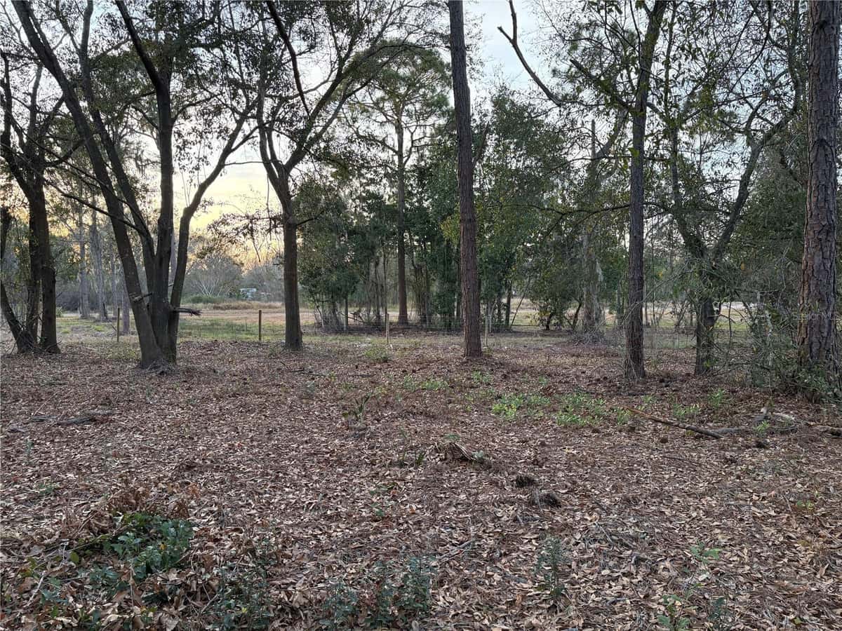 0 ALTURAS BABSON PARK CUTOFF ROAD
