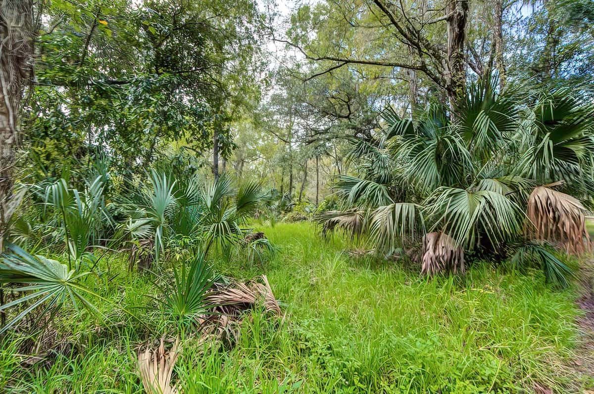 14902 DEAD RIVER ROAD