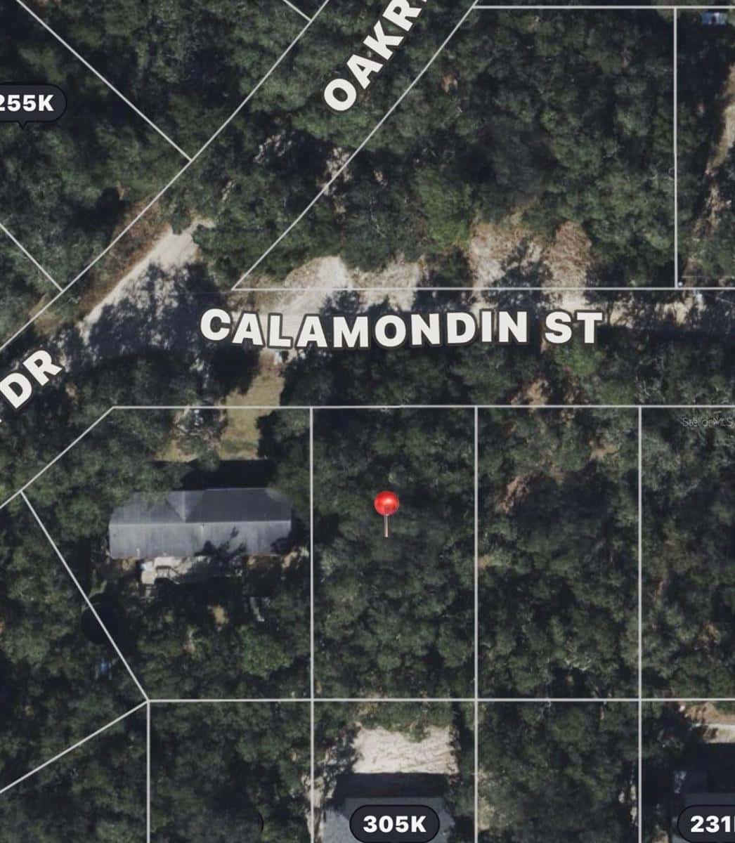 CALAMONDIN ST
