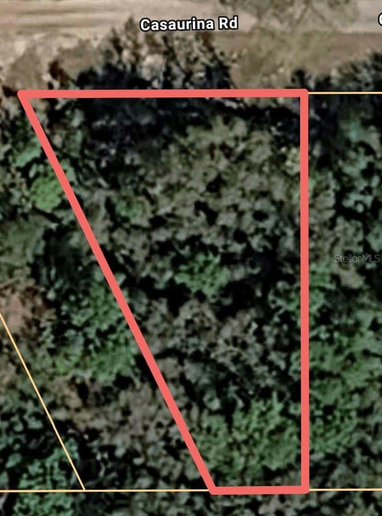CASAURINA ROAD