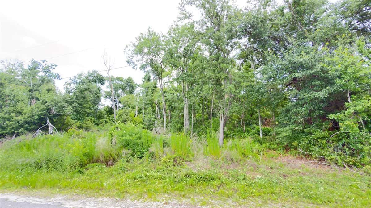 7402 LAND DRIVE