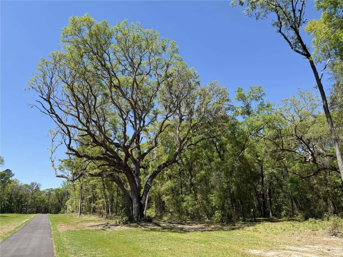 Irvine Acres #5 (13ac) HWY 318