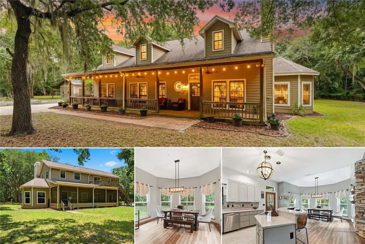 381 JUNGLE ROAD