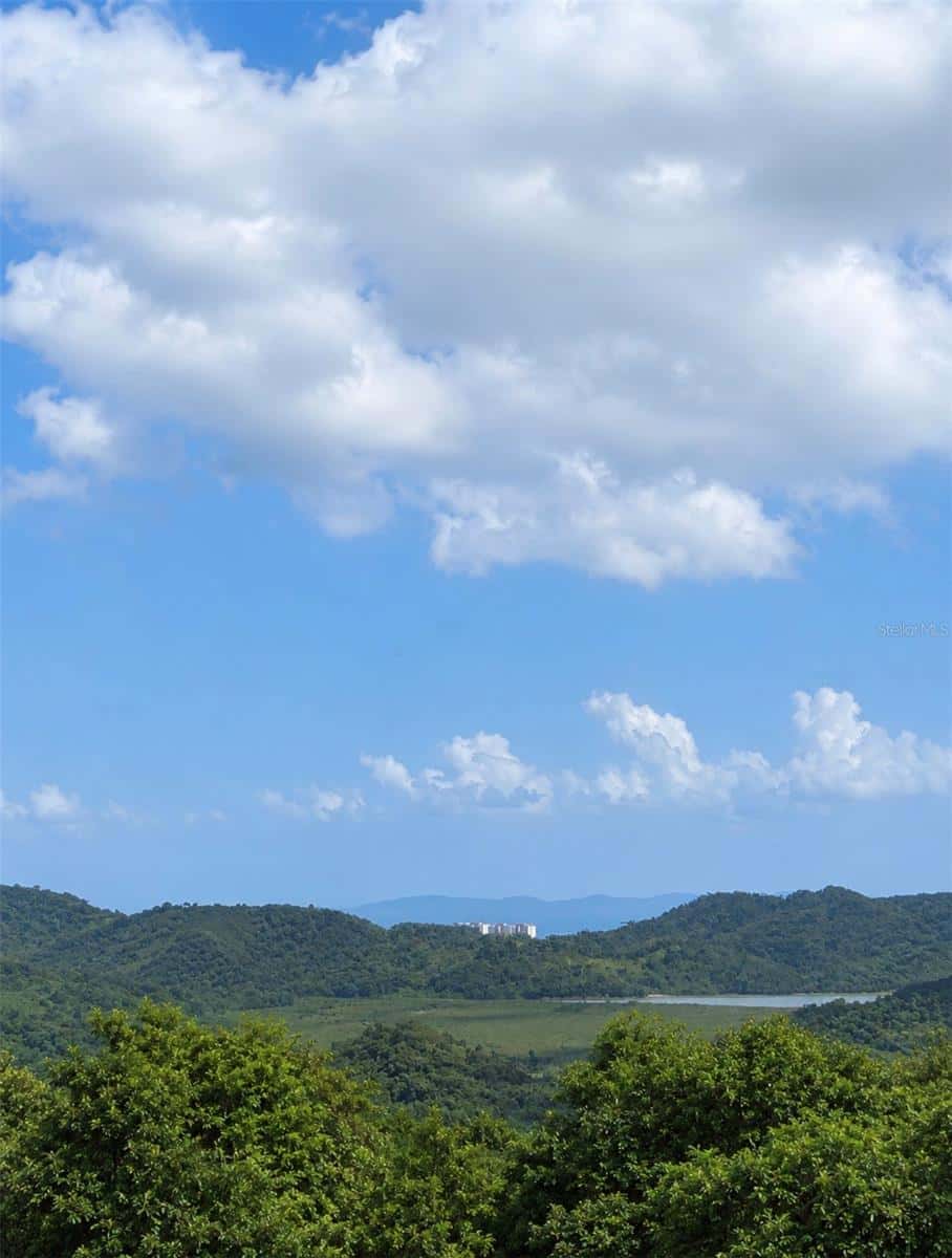 FINCAS DE NARANJO