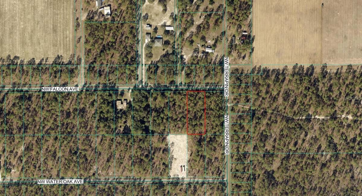 00 FALCON AVENUE