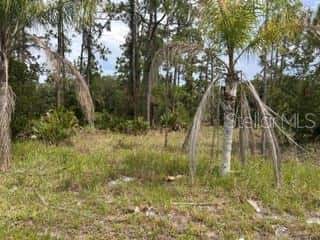 823 PANDORA (BLK 217 LOT 13) DRIVE
