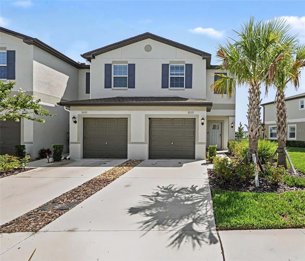 32137 POWDERPUFF MIMOSA DRIVE