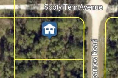 SOOTY TERN AVENUE