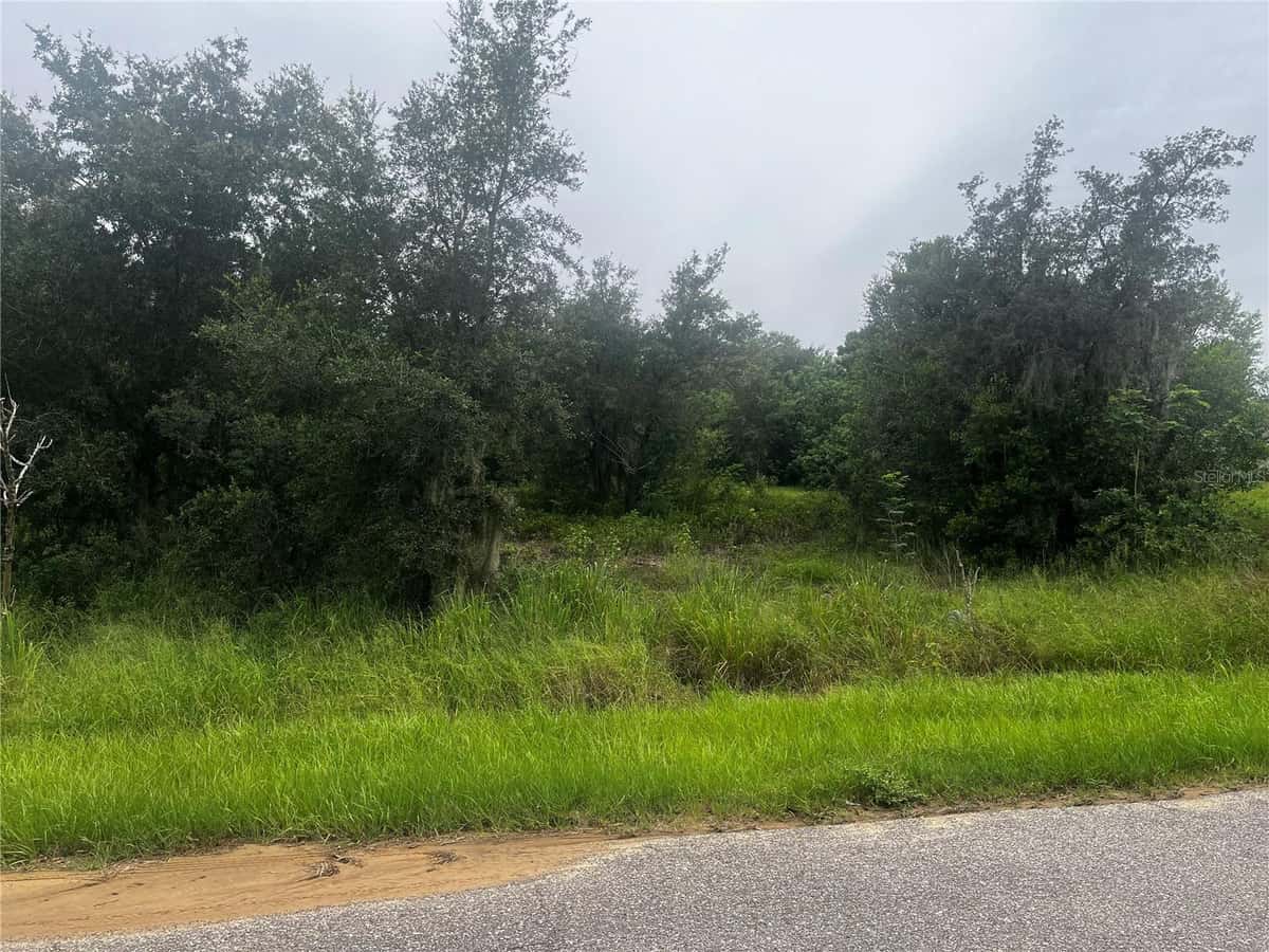 2370 LAKE EASY ROAD