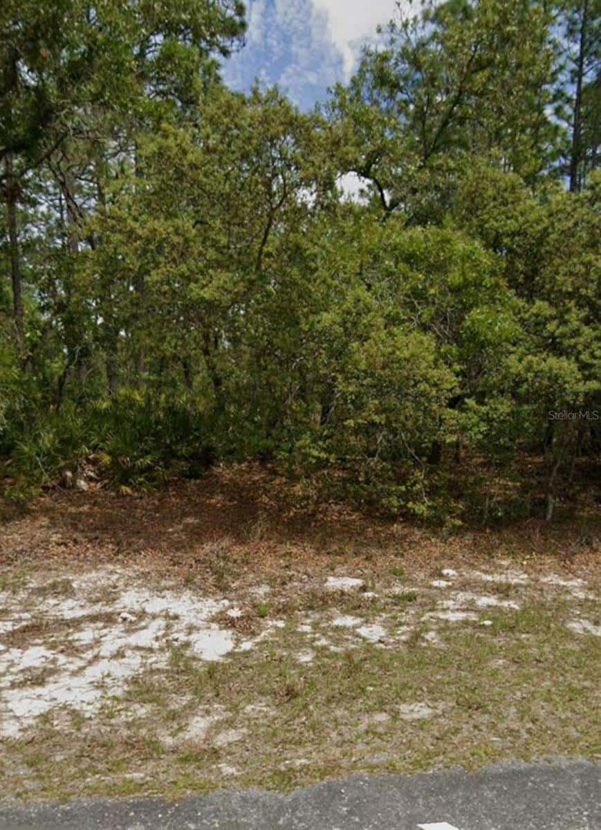 5732 SUMMERFIELD POINT