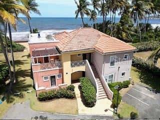 CANDELERO DRIVE PALMAS DORADAS