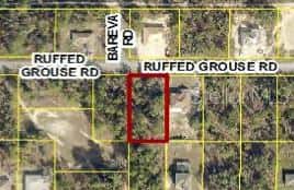13364 RUFFED GROUSE ROAD