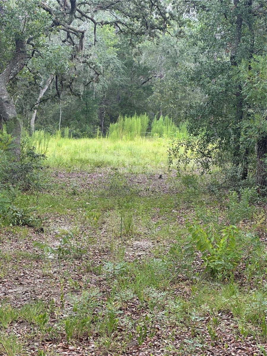 5730 COUNTY ROAD 337