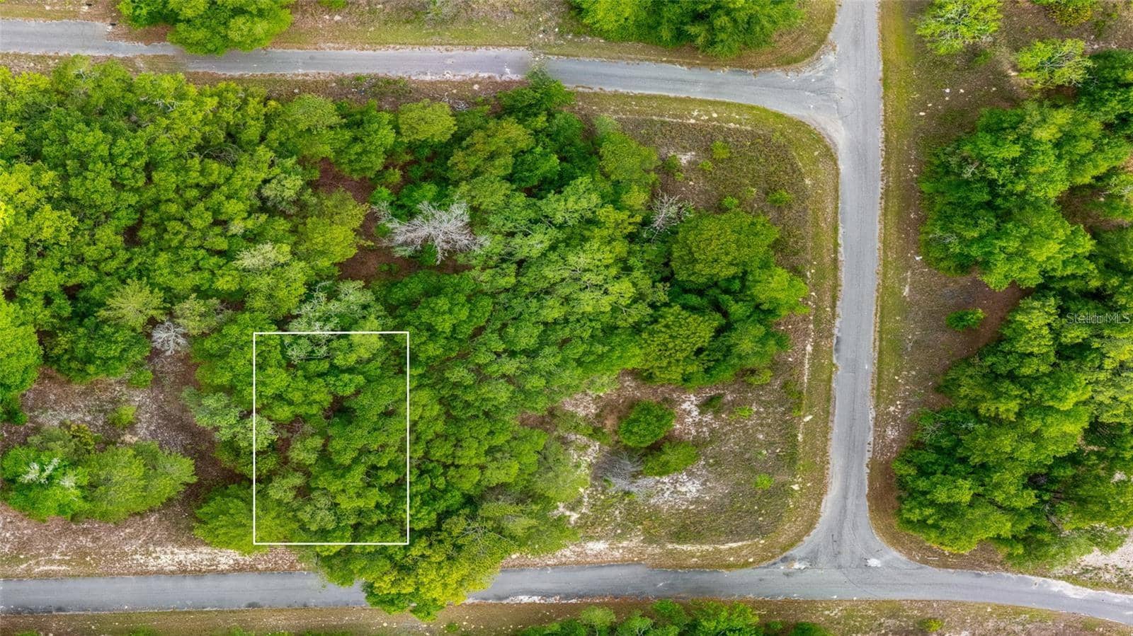 MAGNOLIA DRIVE