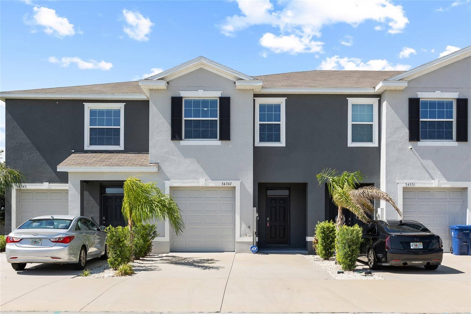 34347 SORREL MINT DRIVE