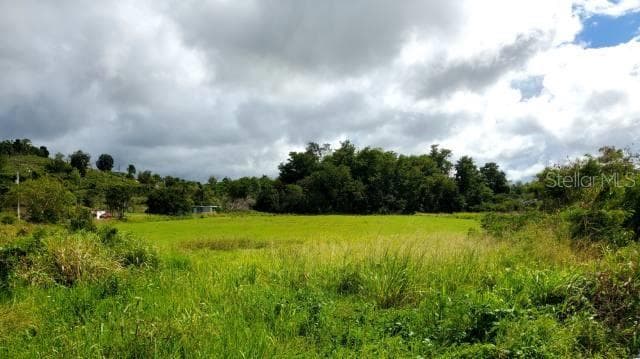 State Road PR-2 KM. 94.0 — photo 2 of 3