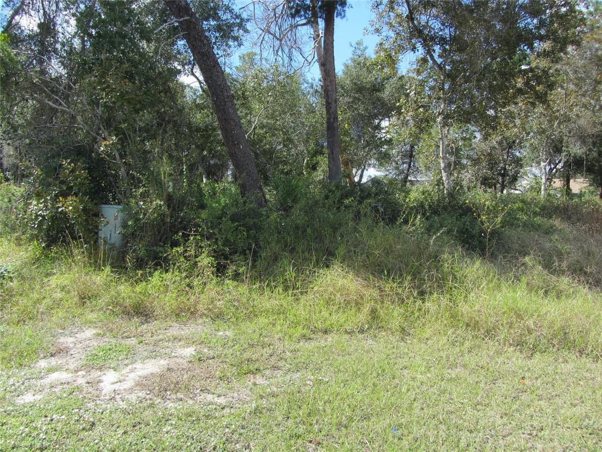 1684 CATALINA BLVD — photo 2 of 12