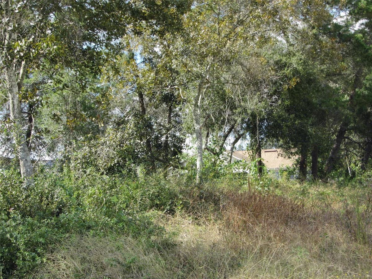 1684 CATALINA BLVD — photo 4 of 12