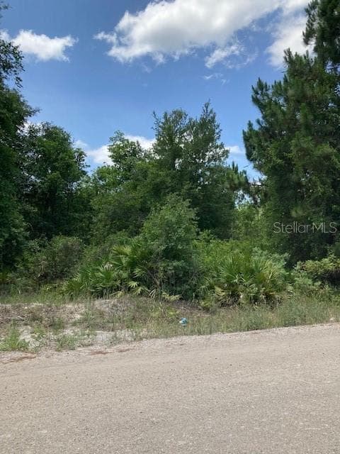 15820 WILSON PARRISH ROAD — photo 10 of 11