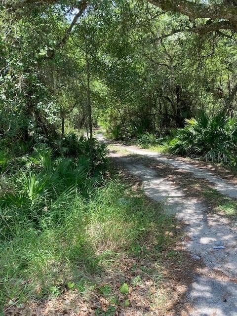 15820 WILSON PARRISH ROAD — photo 11 of 11