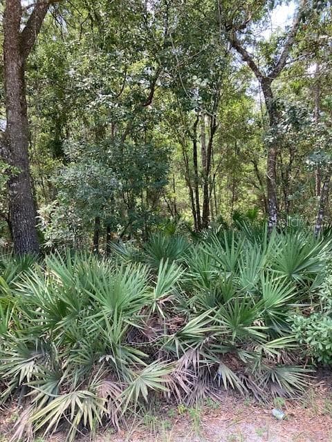 15820 WILSON PARRISH ROAD — photo 9 of 11
