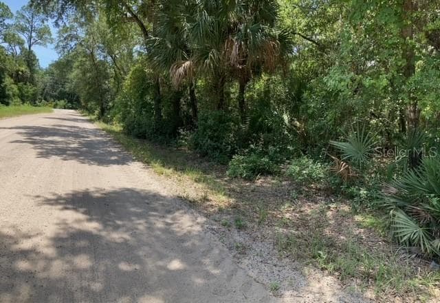 15820 WILSON PARRISH ROAD — photo 8 of 11