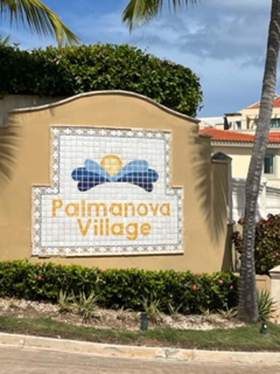 Palms Inn Drive PALMANOVA VILLAGE — photo 3 of 37