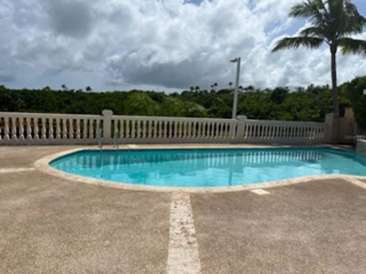 Palms Inn Drive PALMANOVA VILLAGE — photo 37 of 37