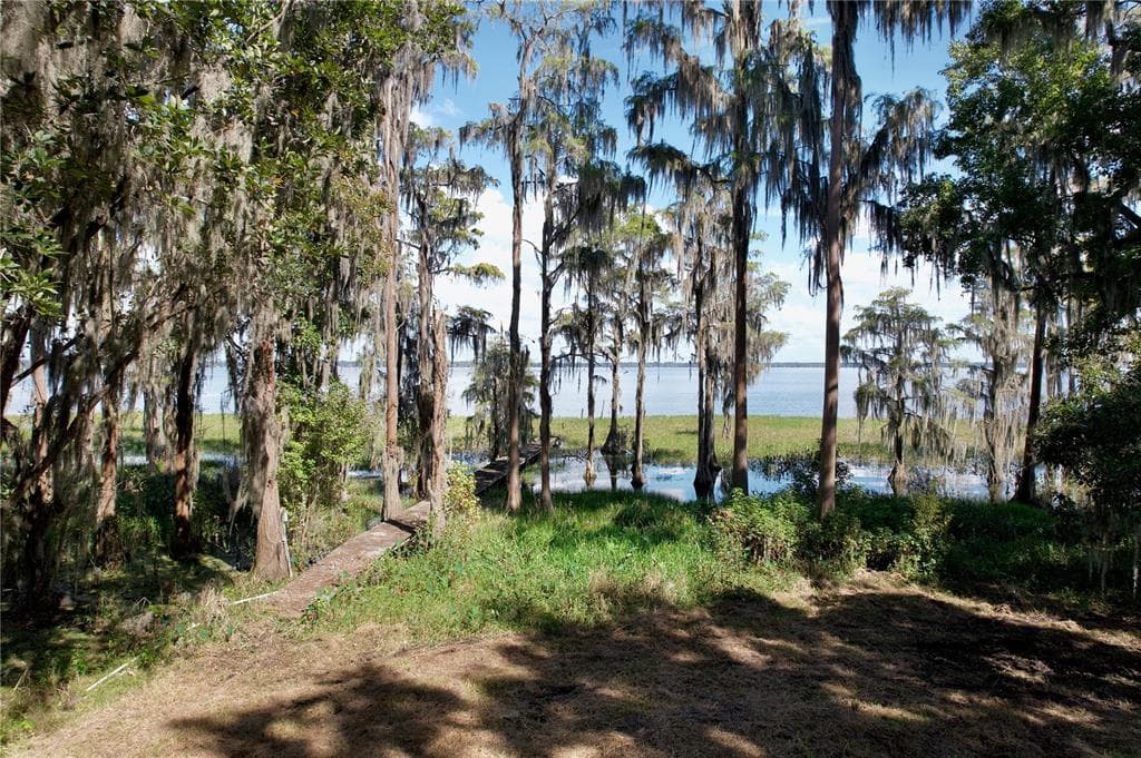 9817 COUNTY ROAD 1469 — photo 4 of 10