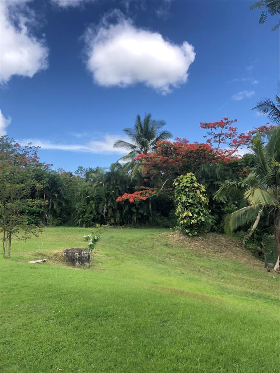 CARR 1,  KM 21.3 BO. LA MUDA — photo 6 of 26