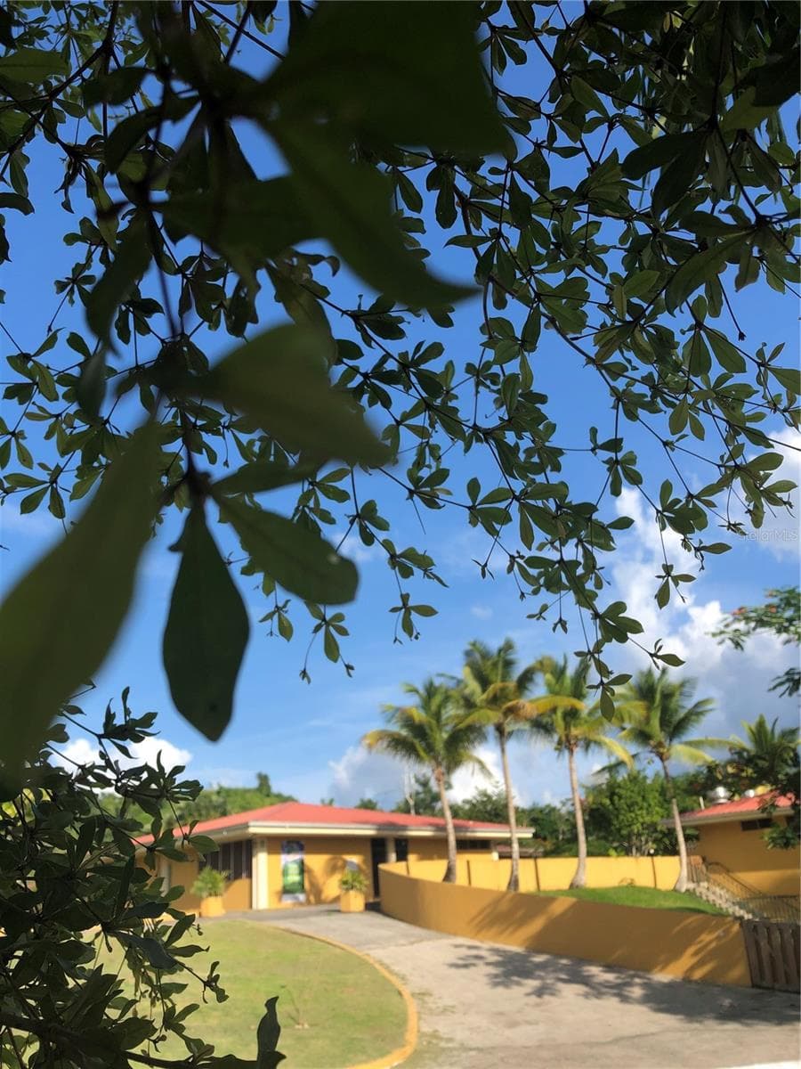 CARR 1,  KM 21.3 BO. LA MUDA — photo 14 of 26