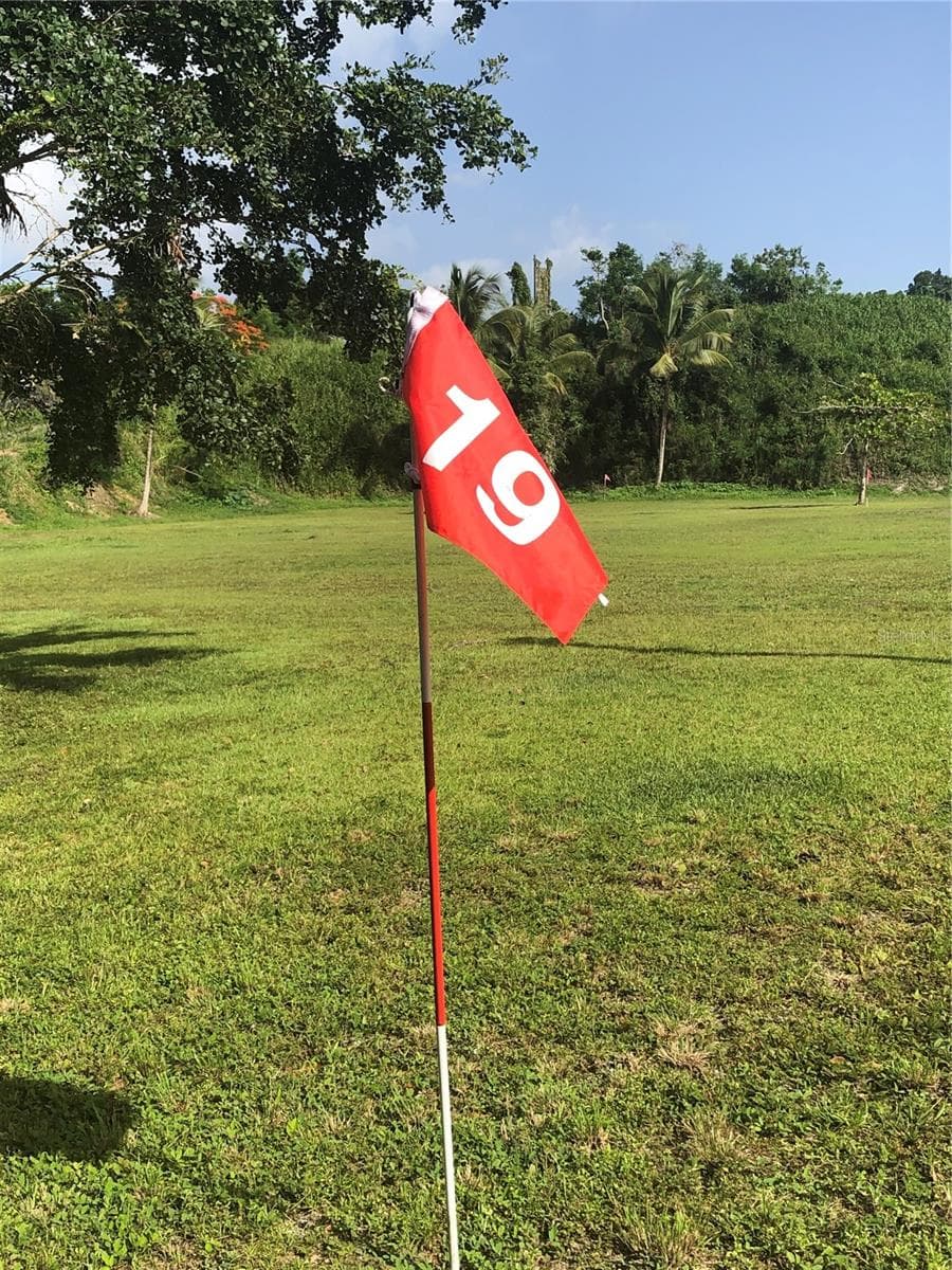 CARR 1,  KM 21.3 BO. LA MUDA — photo 15 of 26