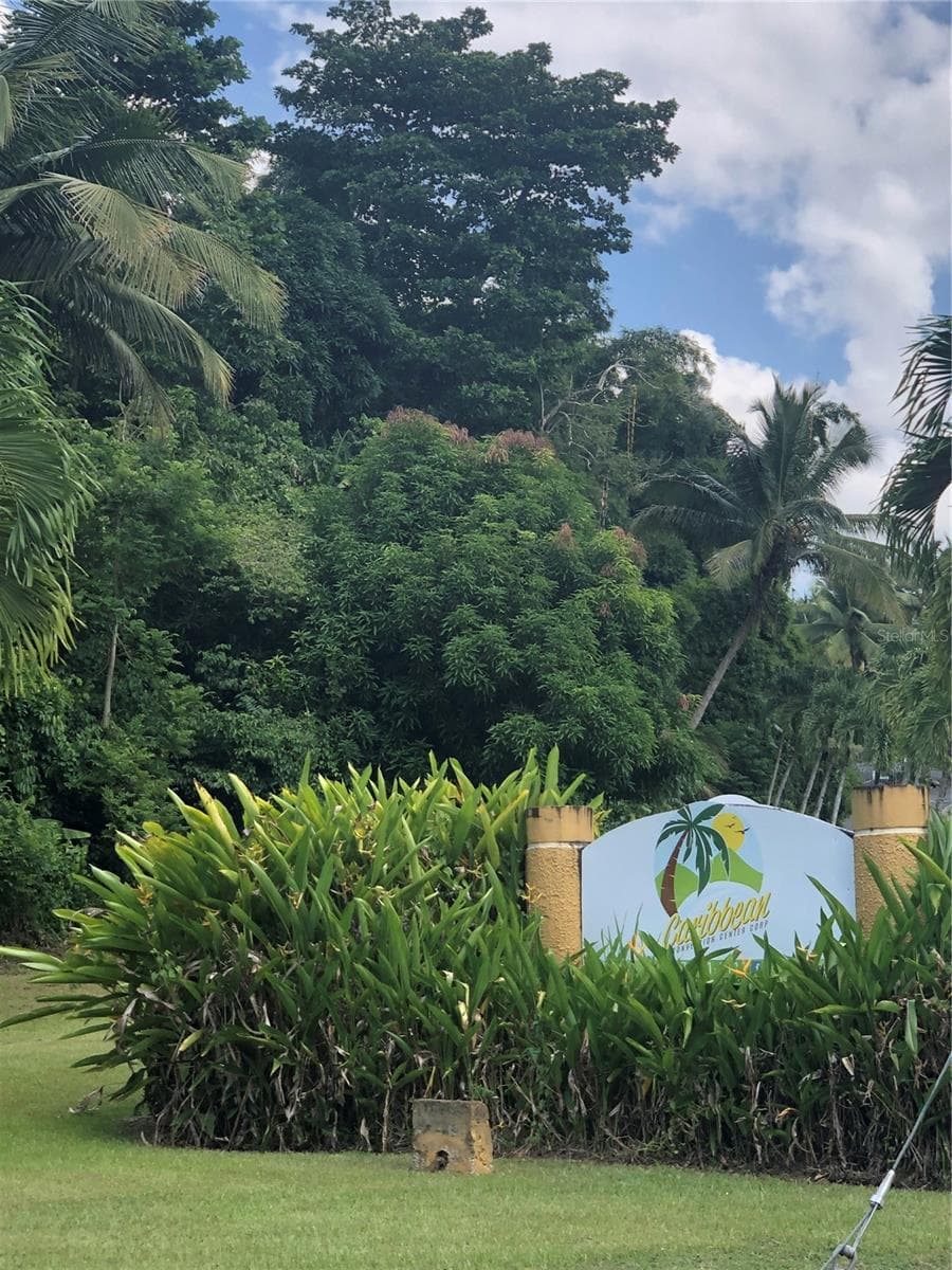 CARR 1,  KM 21.3 BO. LA MUDA — photo 10 of 26