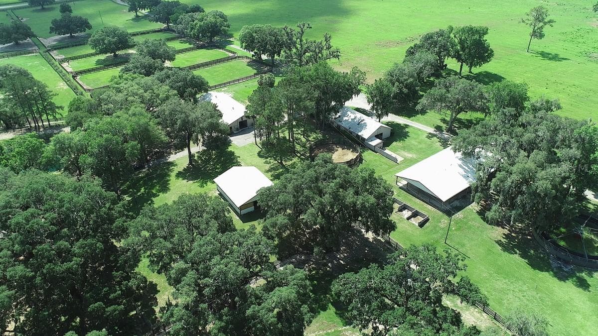 13450 GAINESVILLE ROAD — photo 30 of 90