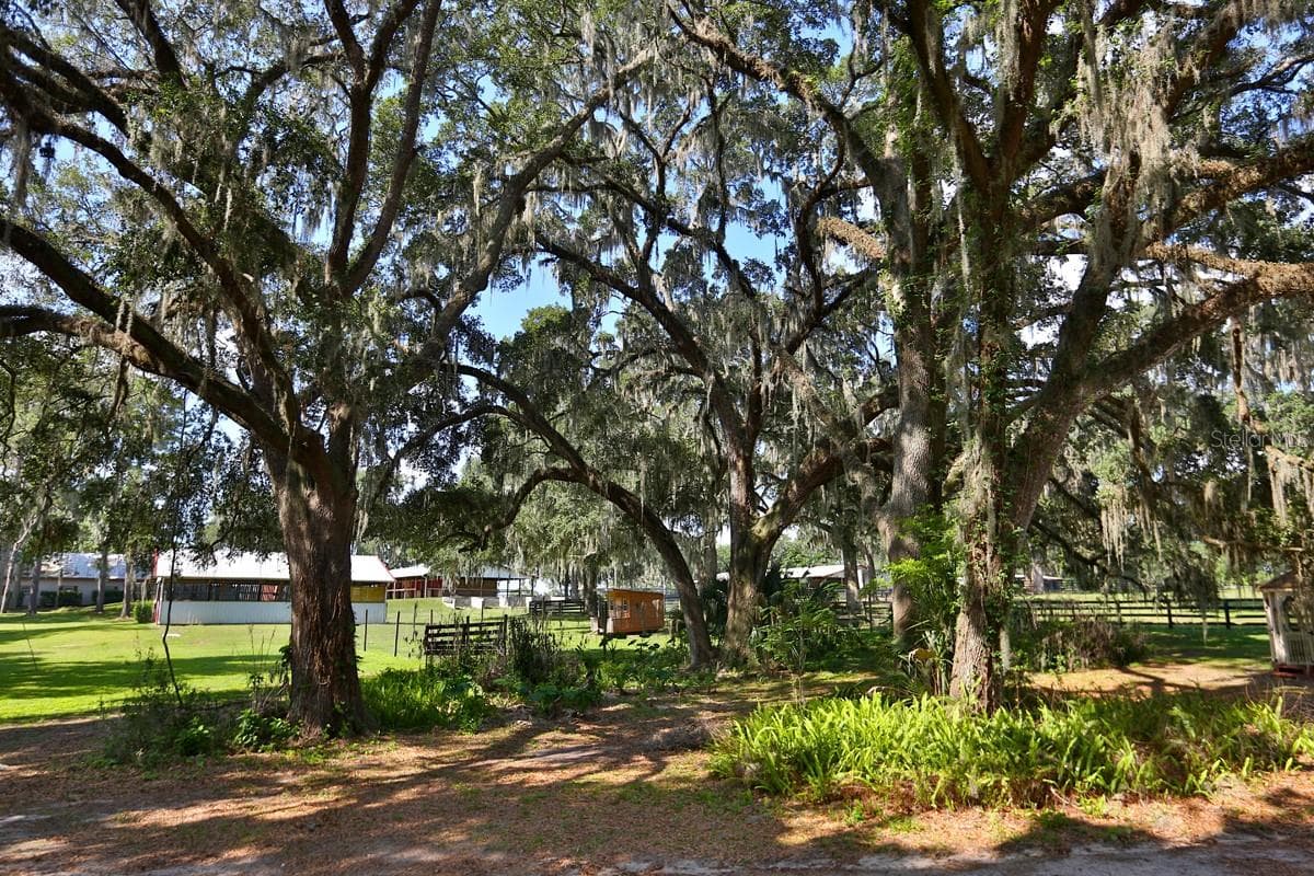13450 GAINESVILLE ROAD — photo 8 of 90