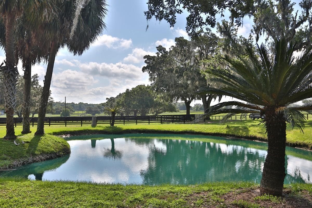 13450 GAINESVILLE ROAD — photo 7 of 90
