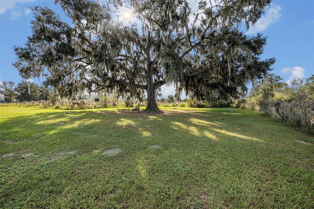 331 LEWIS ROAD — photo 58 of 87