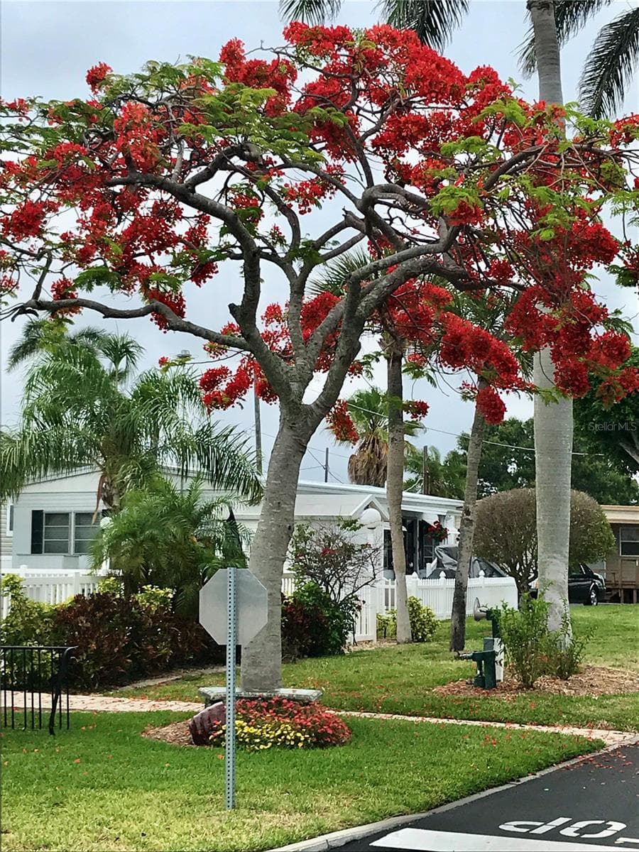 3710 GULF OF MEXICO DRIVE — photo 11 of 18