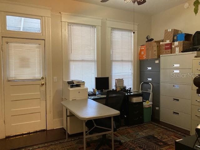 806 DE LEON STREET — photo 4 of 19