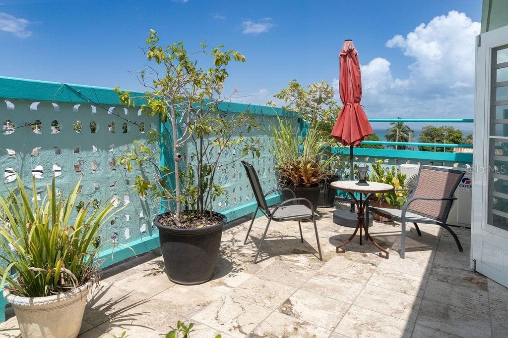 220 CALLE PRUDENCIO QUIÑONES — photo 18 of 37