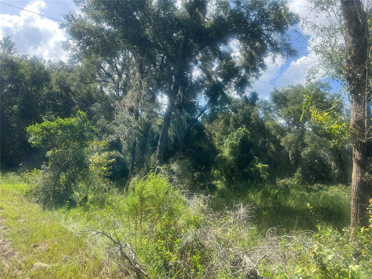 1215 ARREDONDO GRANT ROAD — photo 4 of 9