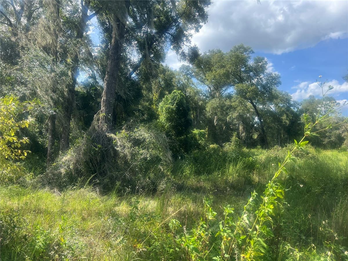 1215 ARREDONDO GRANT ROAD — photo 5 of 9