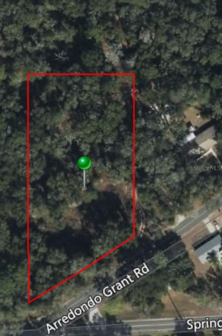 1215 ARREDONDO GRANT ROAD — photo 8 of 9