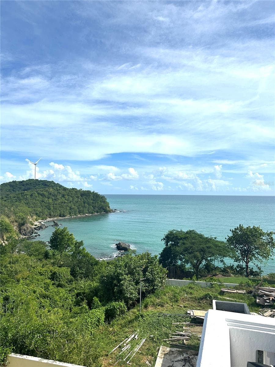 38 FLOR MARINA MAR CARIBE — photo 24 of 28