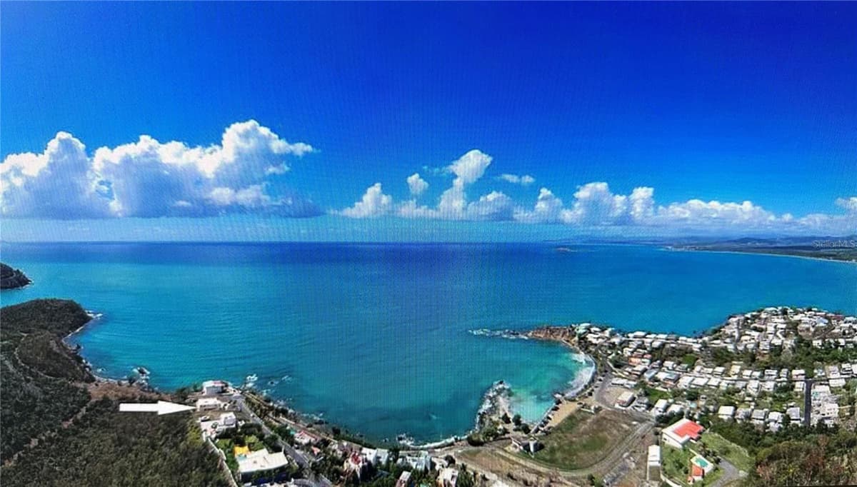 38 FLOR MARINA MAR CARIBE — photo 26 of 28