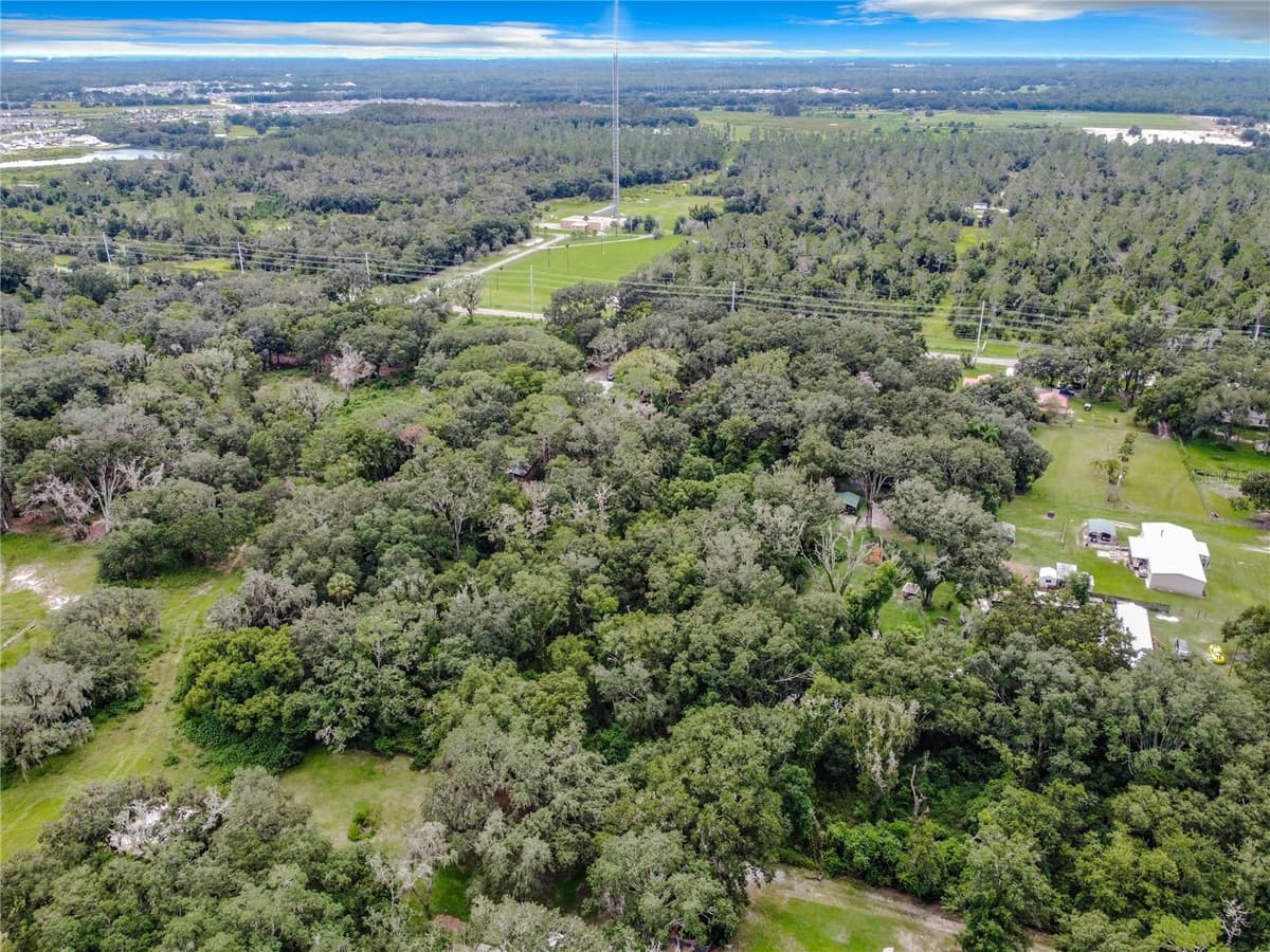 16206 BOYETTE ROAD — photo 6 of 16