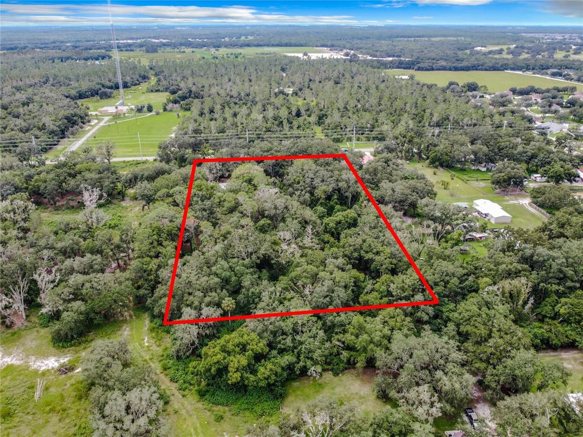 16206 BOYETTE ROAD — photo 3 of 16